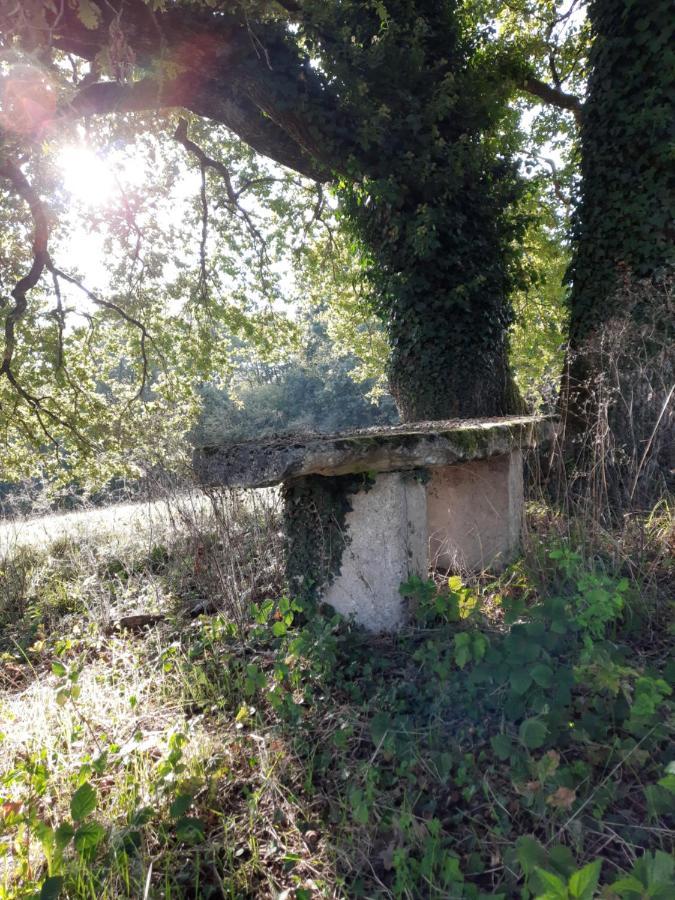 Bed & Breakfast Domaine De Labrousse, Maison D'hotes En Perigord
