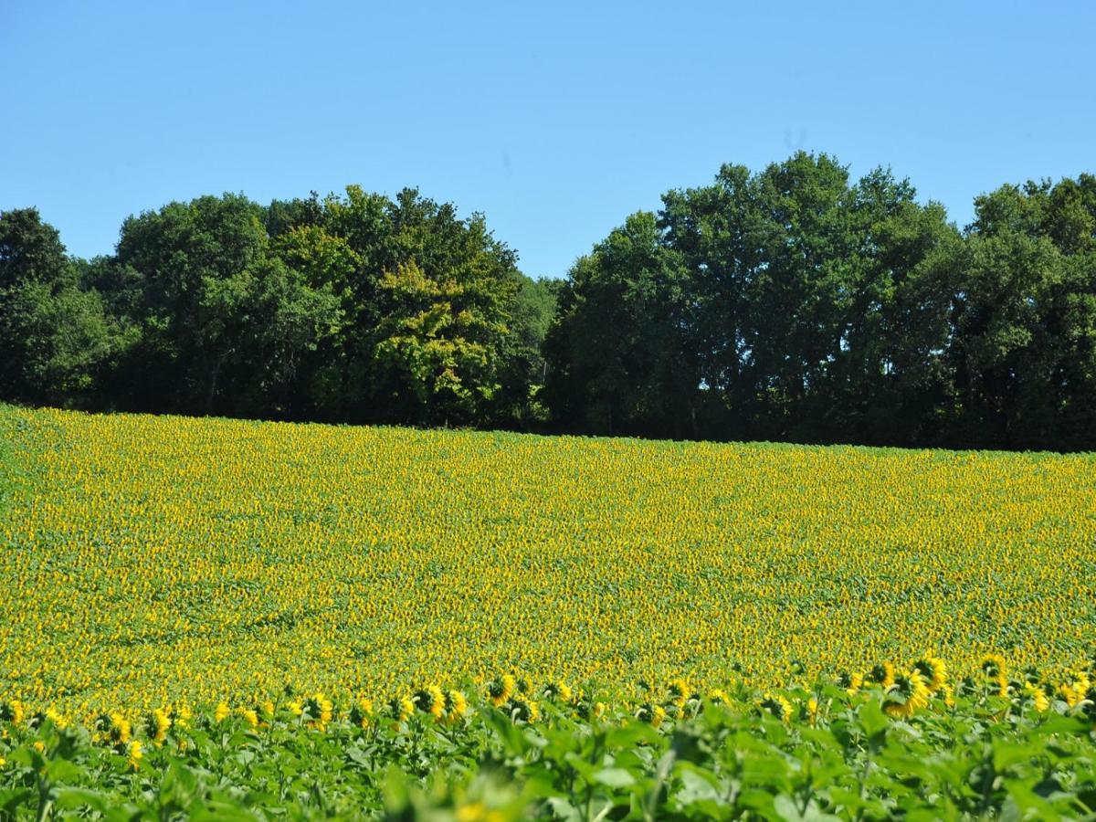 Domaine De Labrousse, En Perigord *